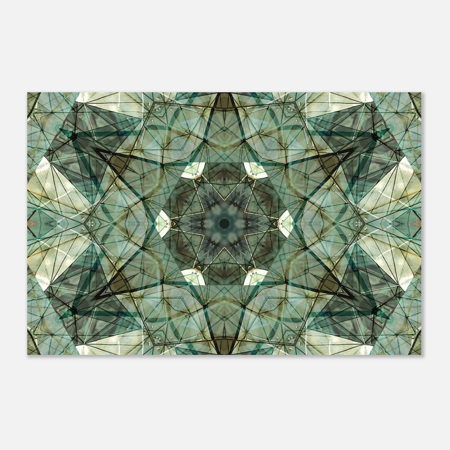 858b78d2-921c-4fdd-acc1-1be5d0fb98af