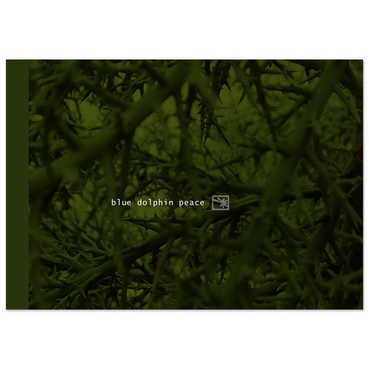 06d2d251-3122-4ce3-82dd-00556aae163c