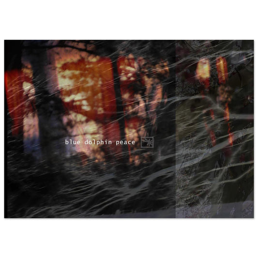 2954ef4f-a0de-48b4-9628-a77de545c2c6