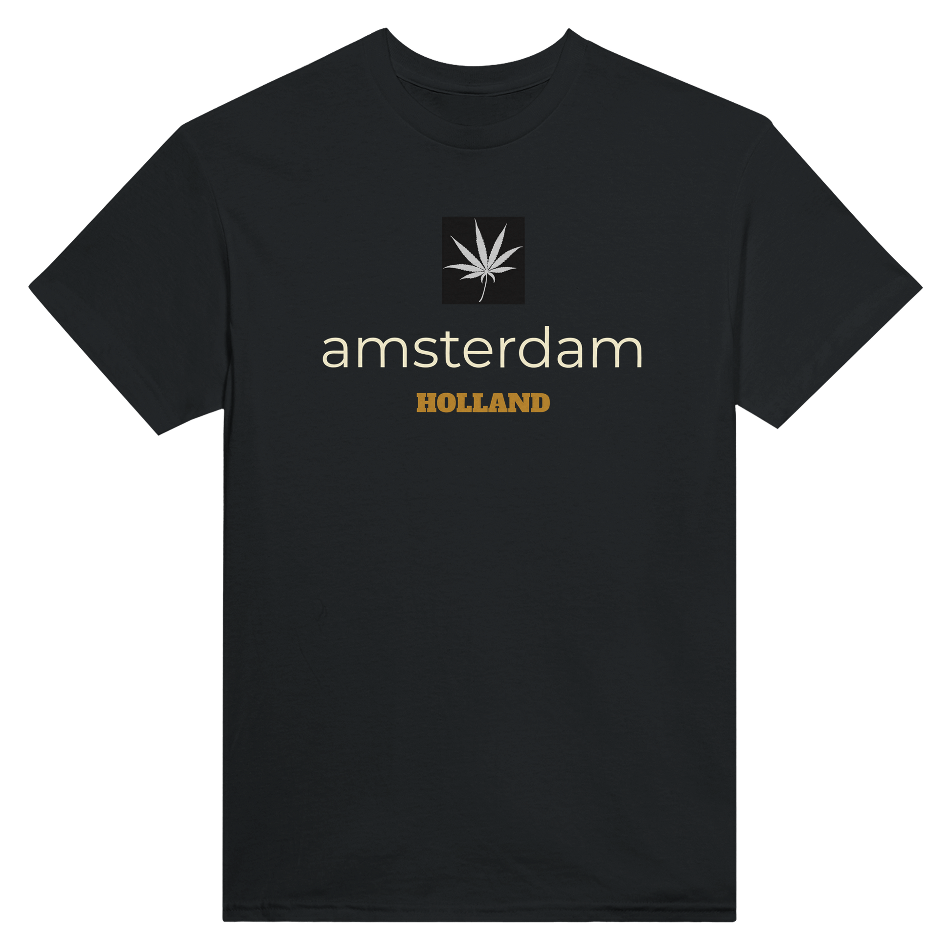 2d582559-7784-4b51-a9f7-55078aadcbc6