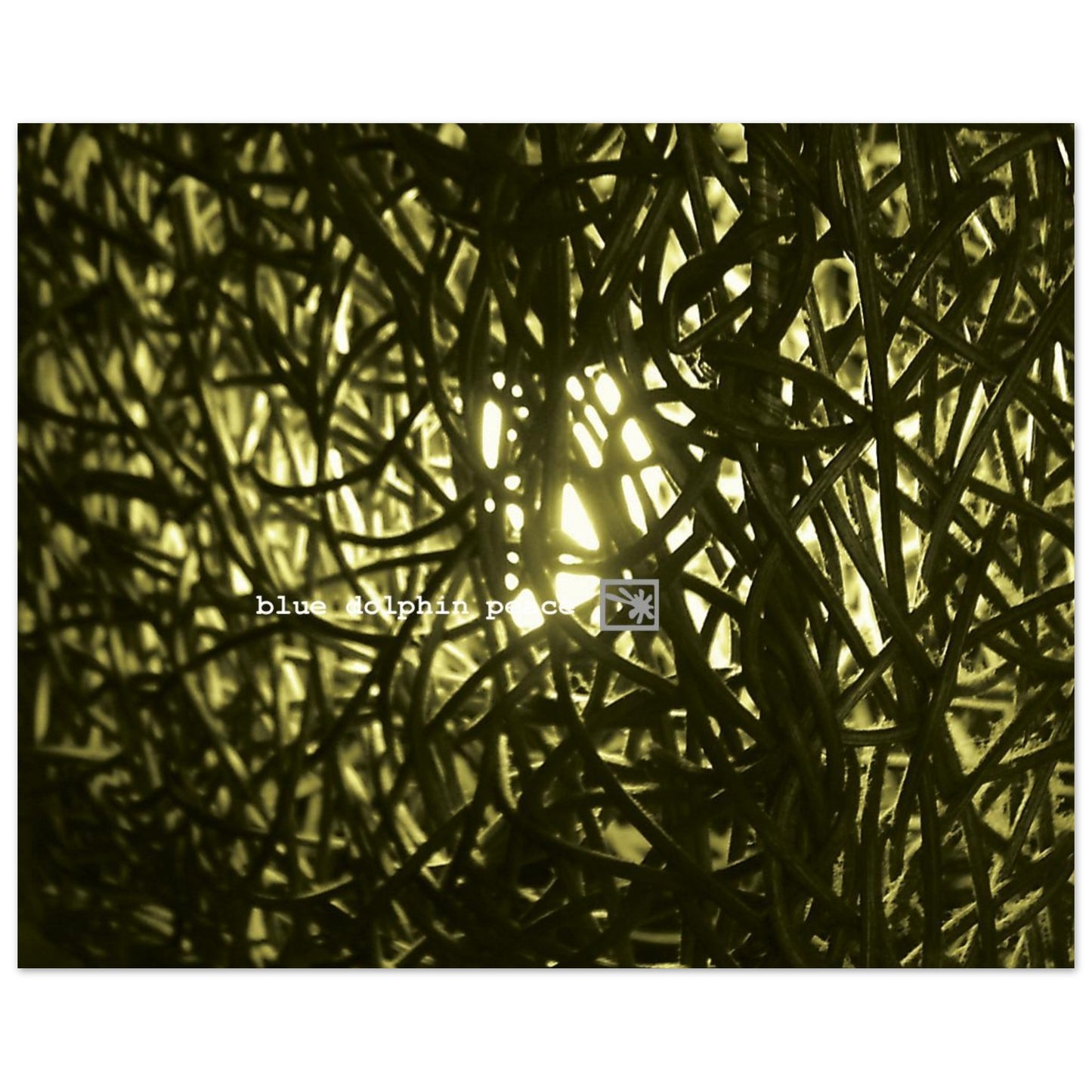 5786477c-1776-4d71-b9ba-f626c478904a