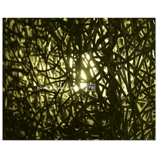 5786477c-1776-4d71-b9ba-f626c478904a