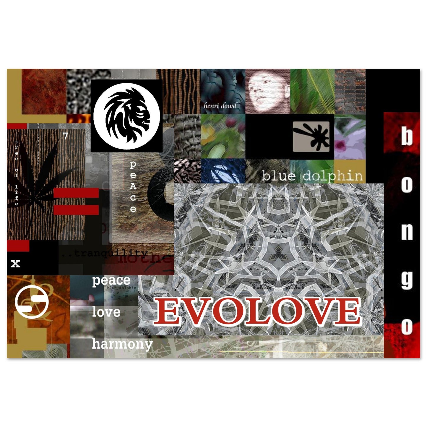 77ddb082-bcb7-4ed8-b8fb-b6e86bb0379b