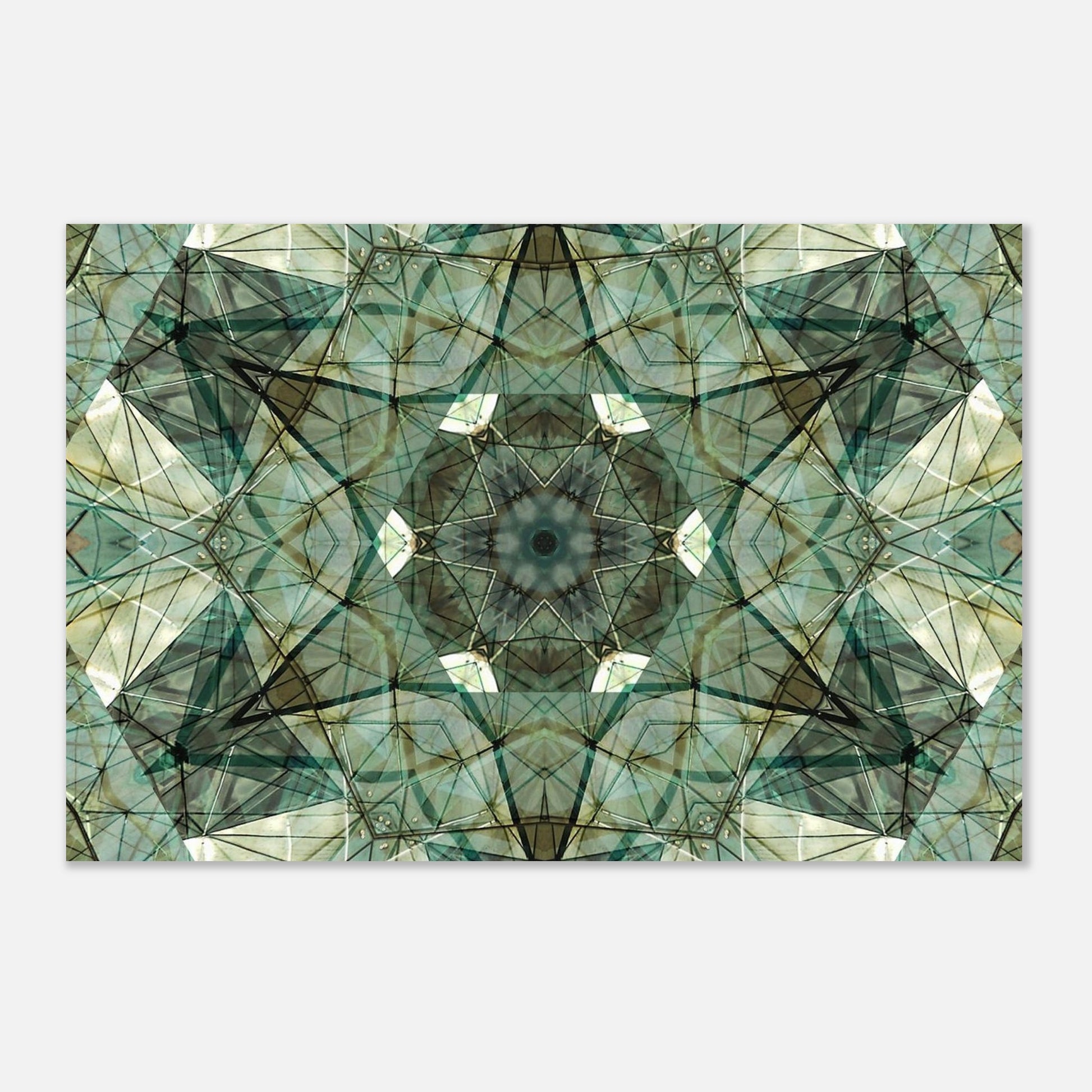 858b78d2-921c-4fdd-acc1-1be5d0fb98af