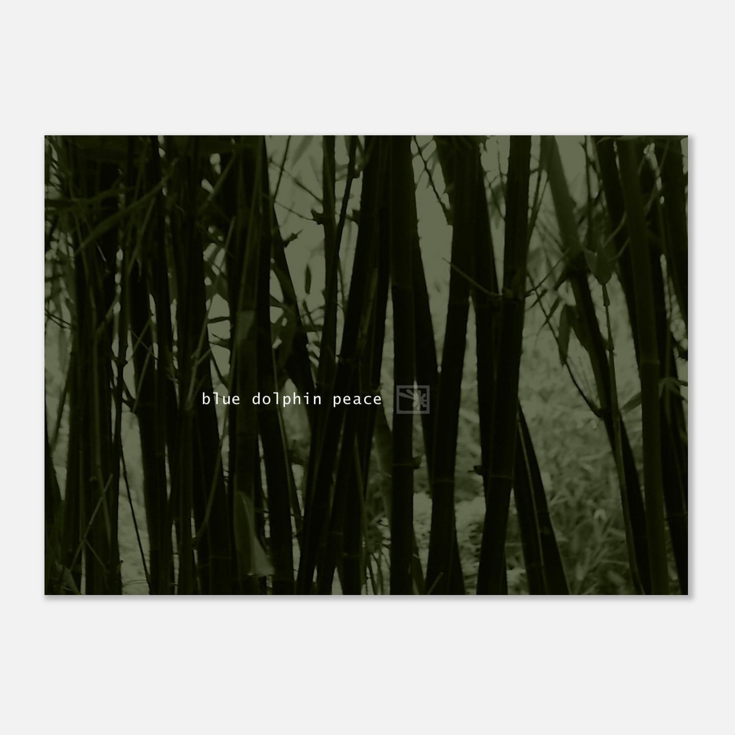 ceff4c44-7bb7-4e56-882c-f2b01f703866