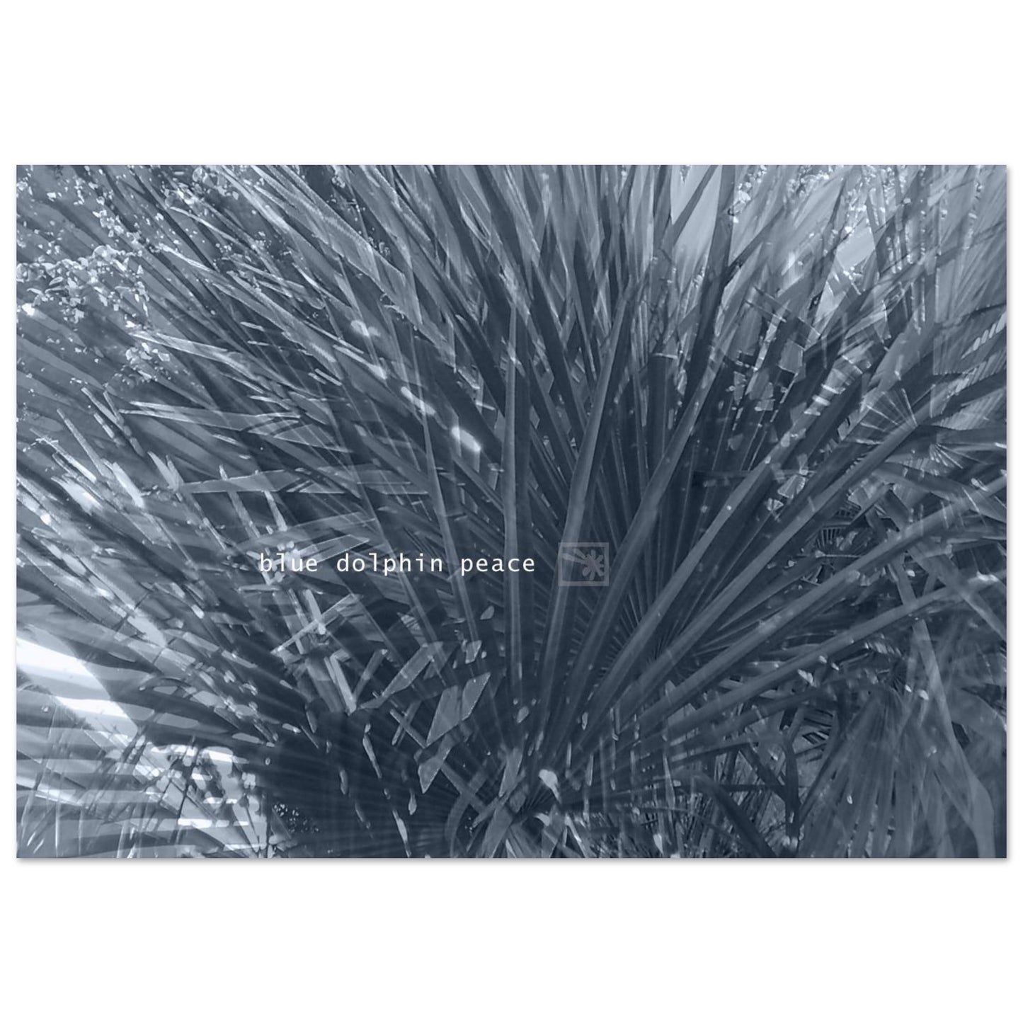 e4c102b5-4d68-4fff-ad70-398dc4a62465