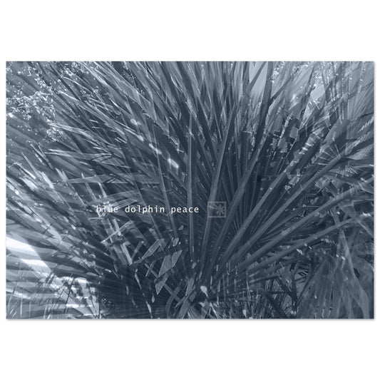 e4c102b5-4d68-4fff-ad70-398dc4a62465