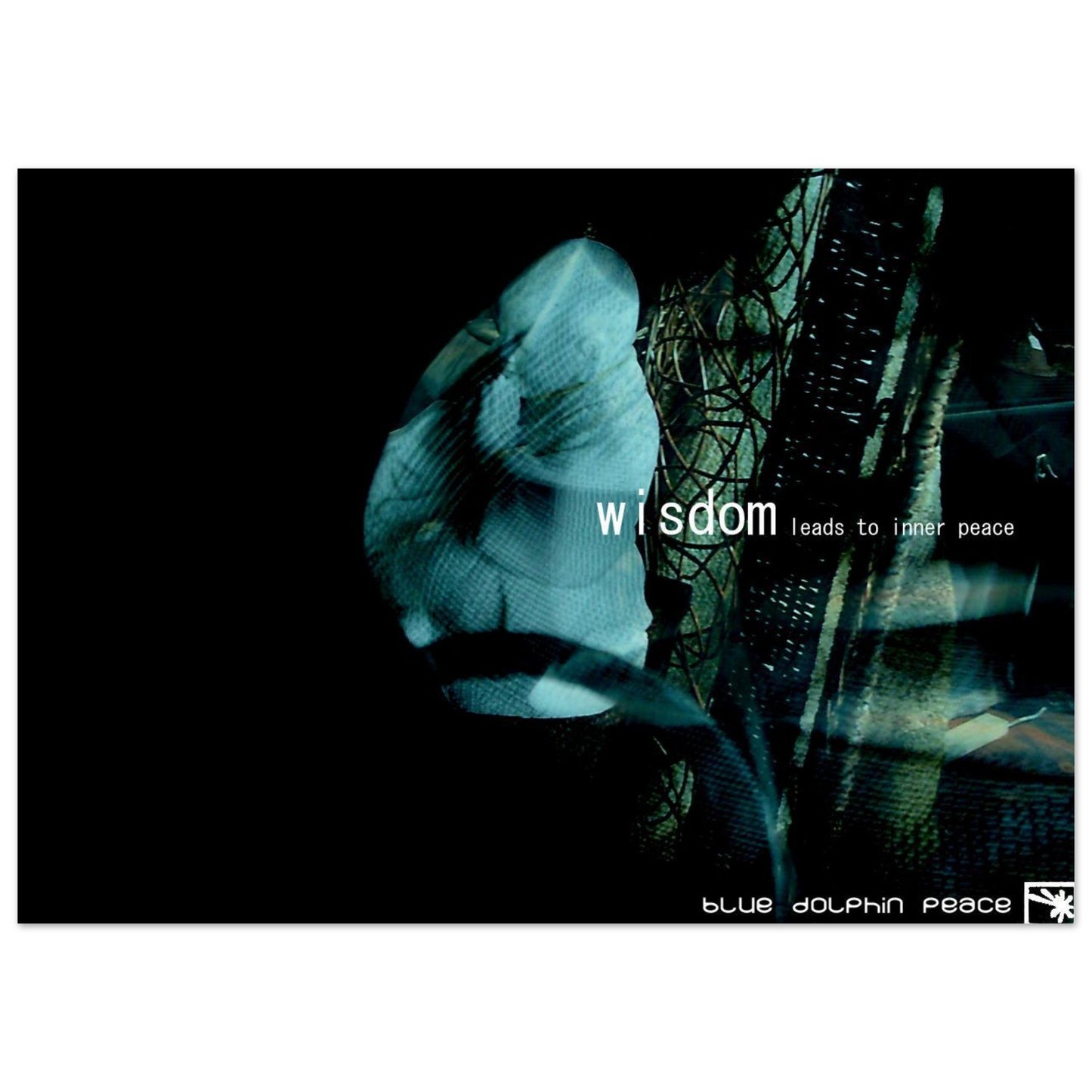 fe666503-9bcd-47db-9552-50c841e5caf7